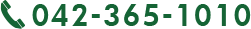 042-365-1010